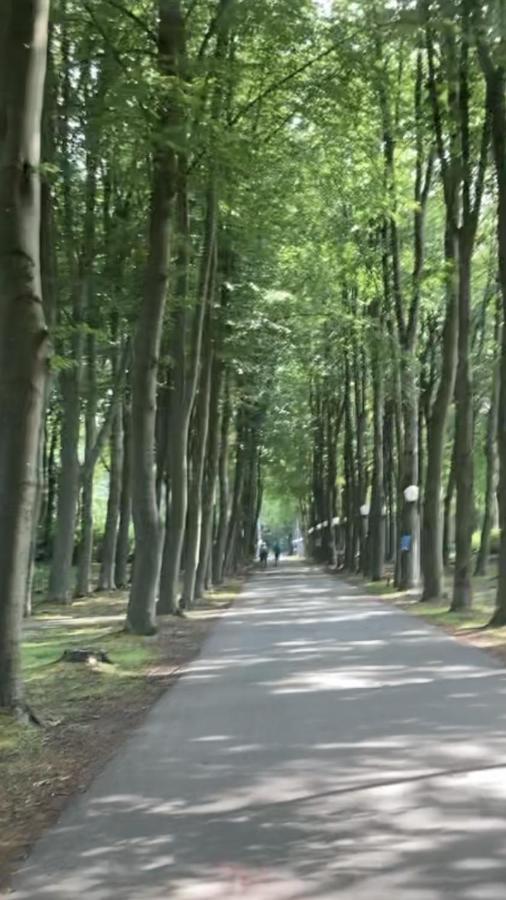 Vakantie Villa Hengelhoef Zonhoven エクステリア 写真